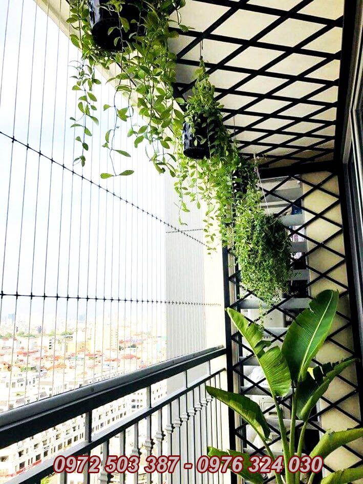 Lưới an toàn hòa phát Lưới an toàn hòa phát